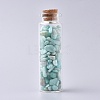 Glass Wishing Bottle DJEW-L013-A02-1
