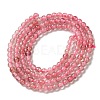Natural Strawberry Quartz Beads Strands G-B090-A26-03-3