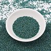 MIYUKI Delica Beads SEED-X0054-DB2381-2