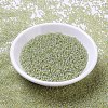 MIYUKI Round Rocailles Beads X-SEED-G007-RR0359-2