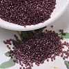 MIYUKI Delica Beads X-SEED-J020-DB0129-1