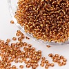 (Repacking Service Available) 8/0  Glass Seed Beads SEED-C014-3mm-22C-1