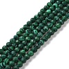 Synthetic Malachite Beads Strands G-H273-01C-1