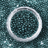 Frosted Opaque Glass Seed Beads X-SEED-S042-06A-01-2