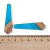 Resin & Wood Pendants WOOD-F015-05G-3