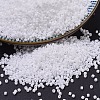MIYUKI Delica Beads X-SEED-J020-DB0200-1