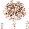 304 Stainless Steel Lobster Claw Clasps STAS-UN0019-73RG-1