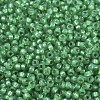 MIYUKI Round Rocailles Beads SEED-G007-RR0646-2
