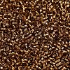 MIYUKI Delica Beads SEED-X0054-DB2524-3