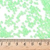 Glass Seed Beads SEED-A011-3mm-144-4