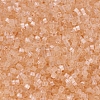 MIYUKI Delica Beads SEED-JP0008-DB0821-2