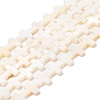 Natural Freshwater Shell Beads Strands SHEL-F007-02-1