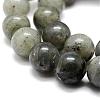 Natural Labradorite Bead Strands G-P256-01-4mm-3