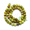 Natural Green Opal Beads Strands G-K245-A17-A04-2