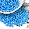 Baking Painted Glass Seed Beads SEED-C004-01M-1