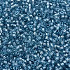 MIYUKI Delica Beads SEED-X0054-DB2383-3