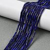 Natural Lapis Lazuli Beads Strands G-U013-A01-01-1