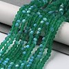 Transparent Glass Beads Strands EGLA-A034-T4mm-MB18-2