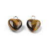 Natural Tiger Eye Charms G-T132-005A-3