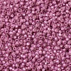 MIYUKI Round Rocailles Beads X-SEED-G007-RR0645-3