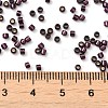 Glass Seed Beads X-SEED-S042-04B-30-4