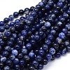 Round Natural Sodalite Beads Strands X-G-F222-39-10mm-1