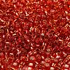 Glass Seed Beads X1-SEED-S042-04A-10-3
