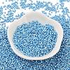 Baking Paint Glass Seed Beads X-SEED-S042-15B-28-2