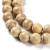 Natural Rainbow Alashan Agate Beads Strands G-NH0022-A06-02-4