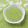 MIYUKI Delica Beads SEED-MY11-DB0169-2