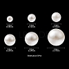 300Pcs 6 Sizes ABS Plastic Imitation Pearl Round Beads MACR-YW0002-67-3