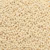 TOHO 11/0 Round Beads SEED-XTR11-0123-2
