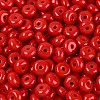 Opaque Colours Glass Seed Beads SEED-Q042-01A-D05-3