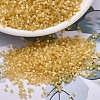 MIYUKI Delica Beads SEED-J020-DB1801-1