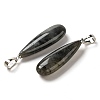 Natural Labradorite Pendants G-Q192-07P-06-2