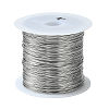 Non-Tarnish 316 Stainless Steel Wire TWIR-L004-01C-P-1