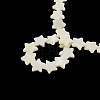 Star Shape Natural Sea Shell Beads Strands X-SSHEL-F290-18B-2