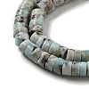 Natural Larimar Beads Strands G-Q024-B03-02-4