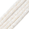 Natural Freshwater Shell Beads Strands X-SSHEL-C013-04B-1