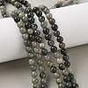 Natural Green Rutilated Quartz Beads Strands G-P325-03-6mm-5