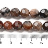 Natural Petrified Wood Beads Strands G-C150-B01-02-5