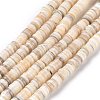 Natural Freshwater Shell Beads Strands X-SHEL-N003A-02-2