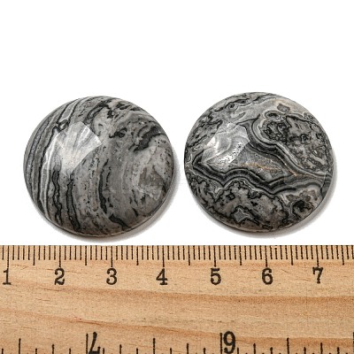 Natural Map Stone Cabochons G-C115-02B-20-1