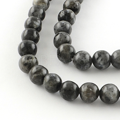 Natural Larvikite Round Beads Strands G-R342-8mm-09-1