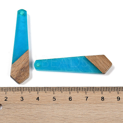 Resin & Wood Pendants WOOD-F015-05G-1