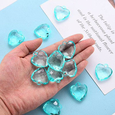 Transparent Acrylic Pendants TACR-T024-03B-946-1