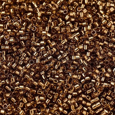MIYUKI Delica Beads SEED-X0054-DB2524-1
