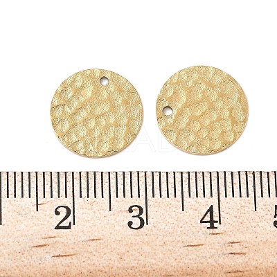 304 Stainless Steel Charms STAS-K306-10G-1