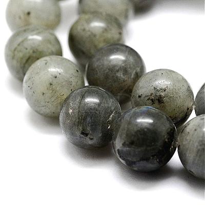 Natural Labradorite Bead Strands G-P256-01-4mm-1