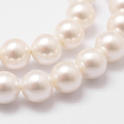 Shell Pearl Bead Strands X-BSHE-L026-03-8mm-1